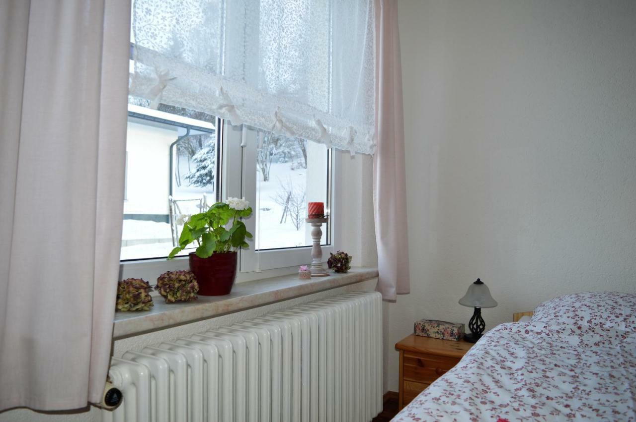 Deine Ferienwohnung Falkenstein  Εξωτερικό φωτογραφία